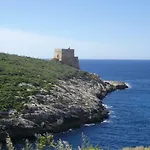 Affittacamere San Antonio Xlendi